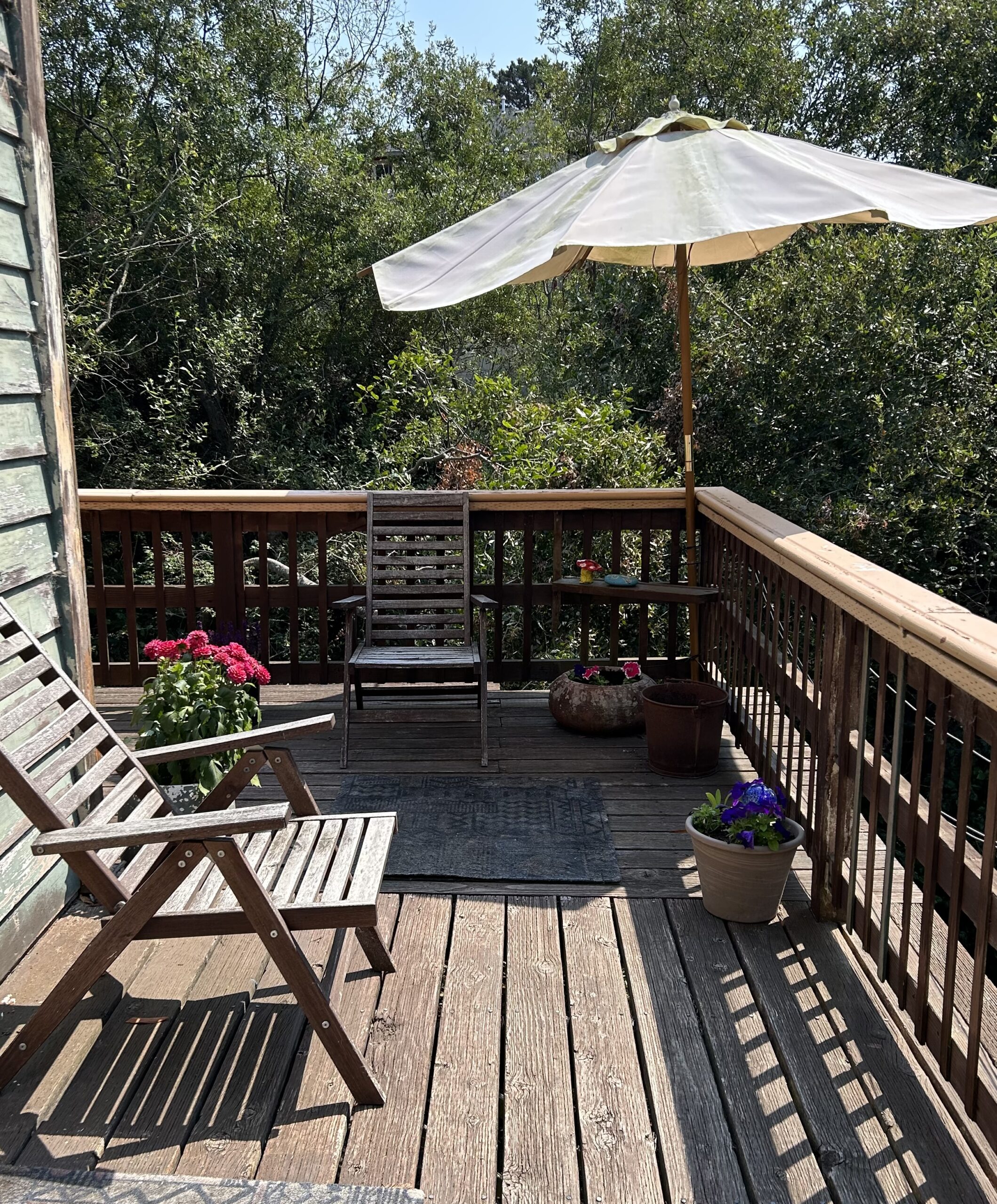 Creekside Cabin at the Sow's Ear - Back Deck