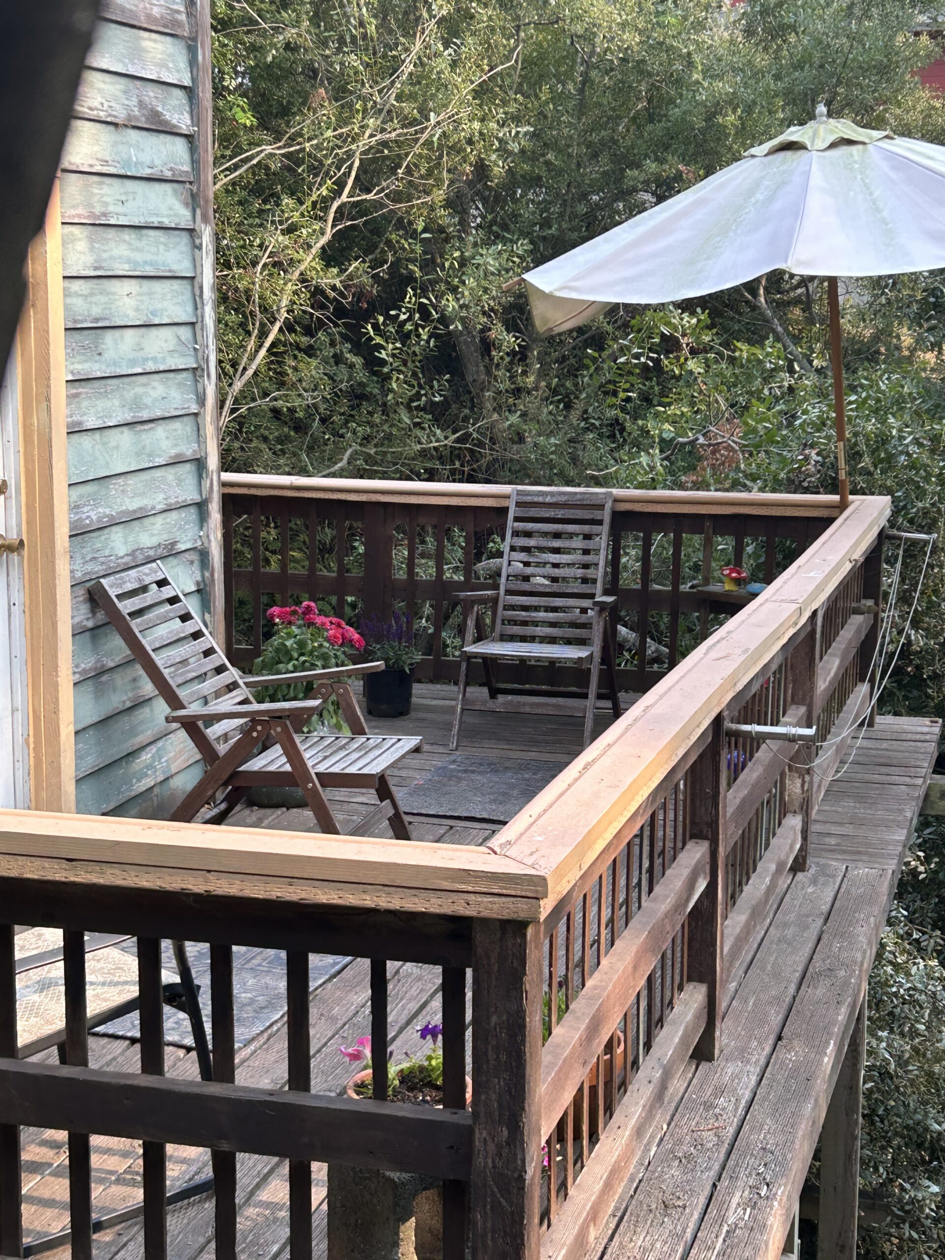 Creekside Cabin at the Sow's Ear - Back Deck